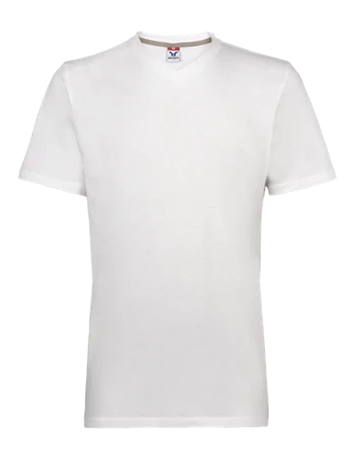 C431 - V Neck T-Shirt